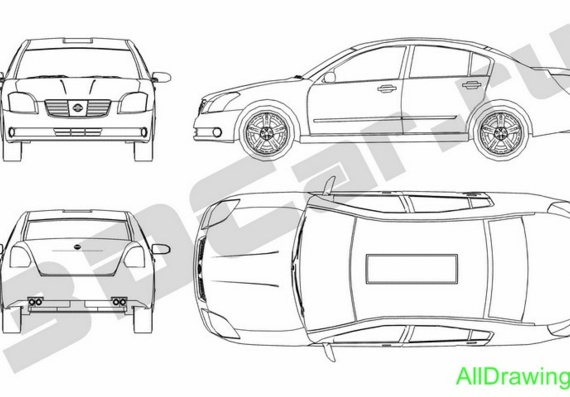 Nissan Maxima (2004) (Nissan Maxim (2004)) are drawings of the car